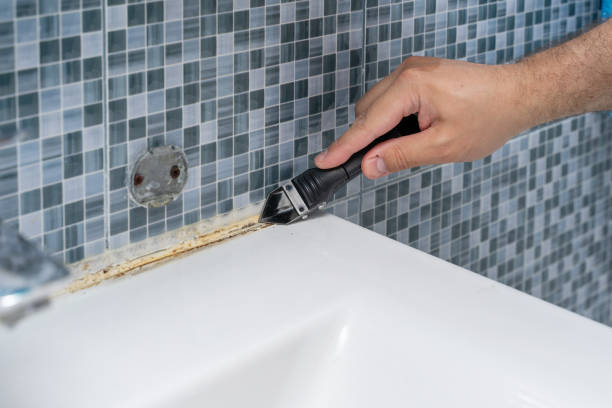 Best Toxic Mold Removal  in Reserve, LA